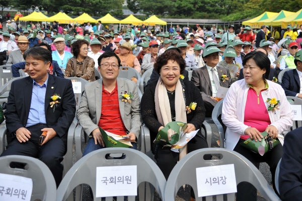 어르신 문화축제